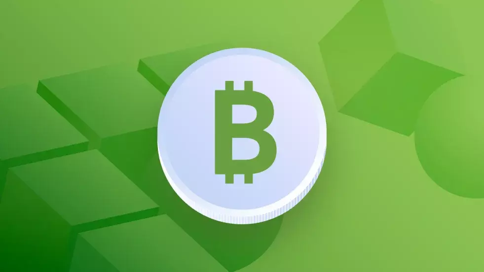 Bitcoin Cash