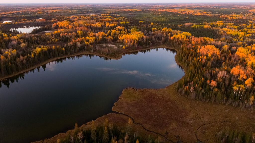 Ring of Fire: an aerial view of a lake surrounded by wetlands and forest in the fall, with some of the forest green and some of it gold