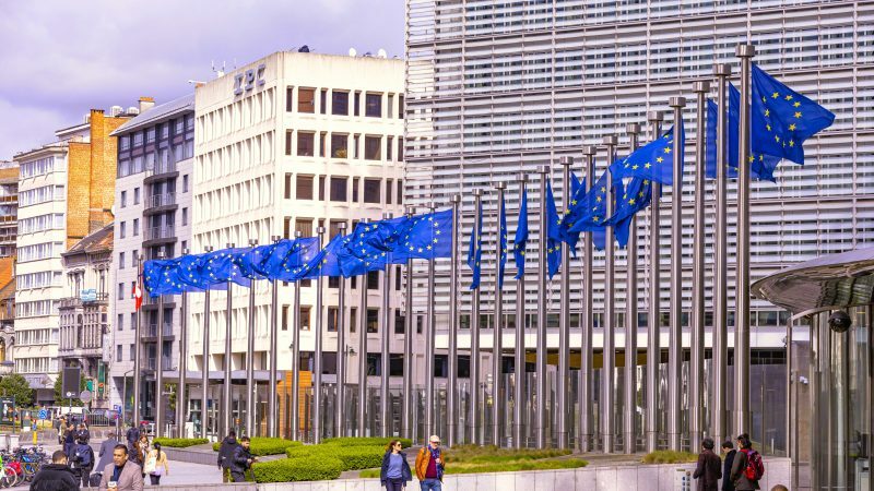 https://www.euractiv.com/section/economy-jobs/news/eu-commission-races-to-disburse-pandemic-recovery-fund-before-2026-deadline/