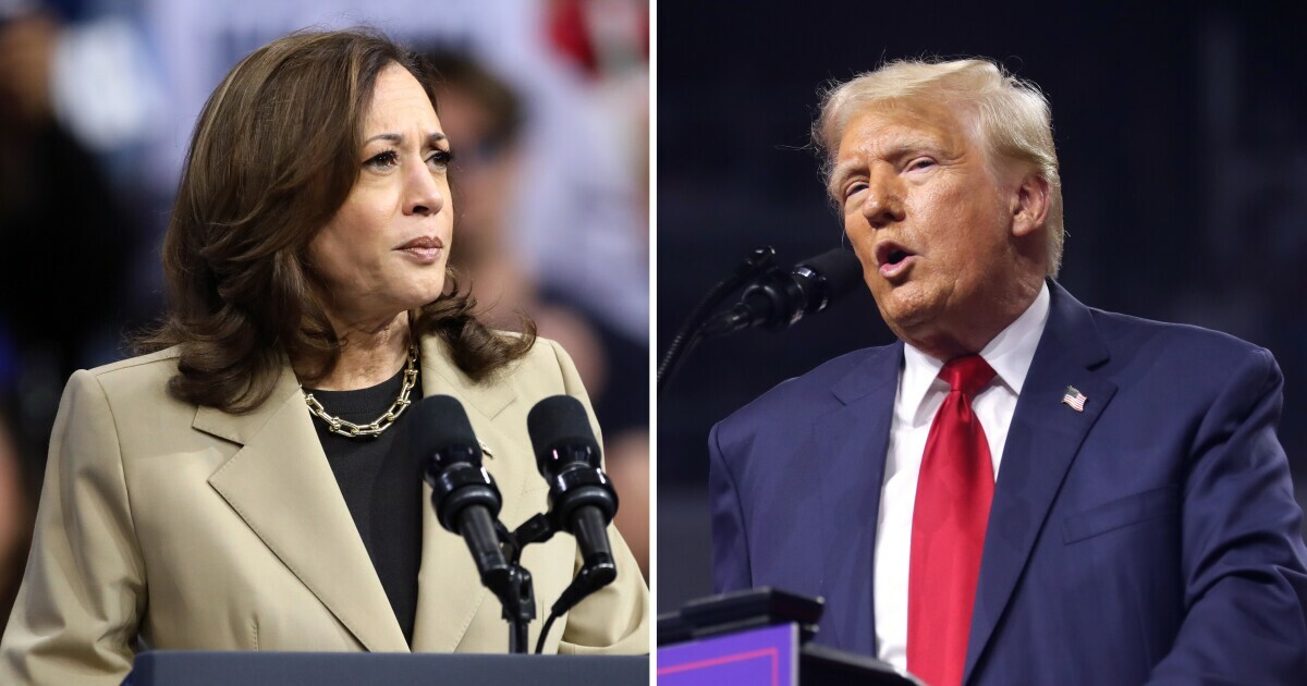 Kamala Harris and Donald Trump at campaign events in Arizona in August 2024.