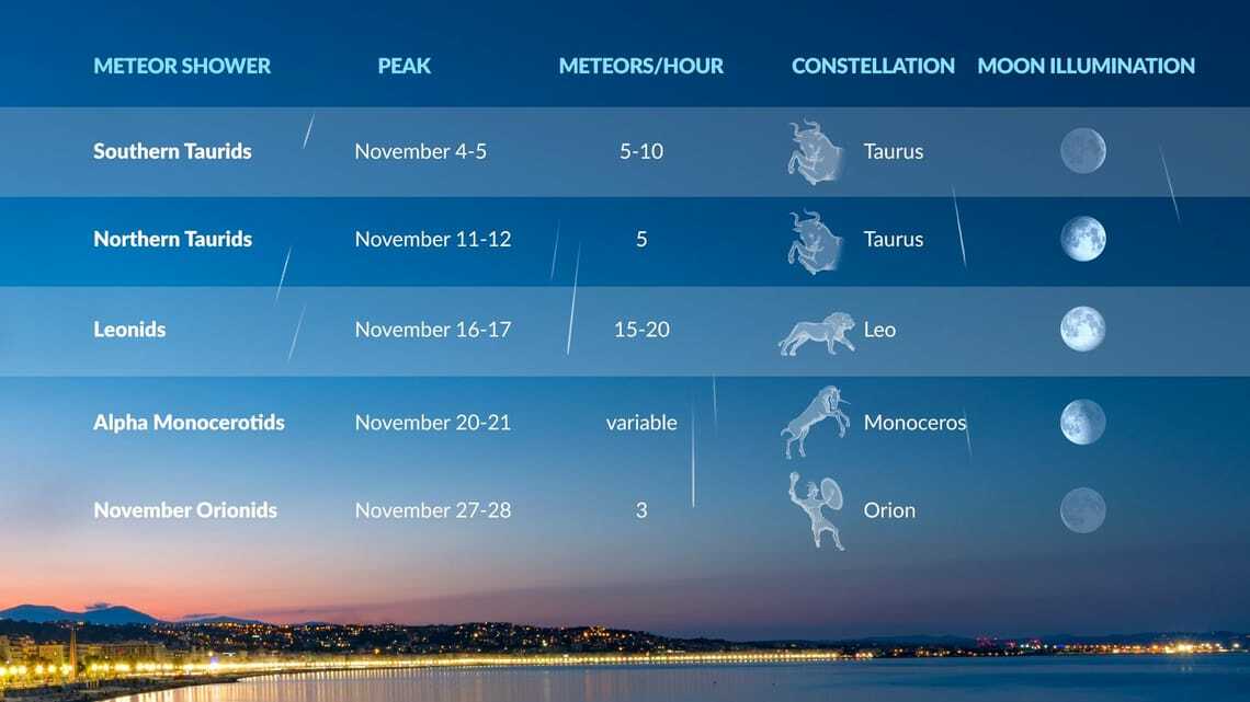 Five meteor showers are reaching their peaks in November. Learn about each of them and get tips for observing this month's meteors.