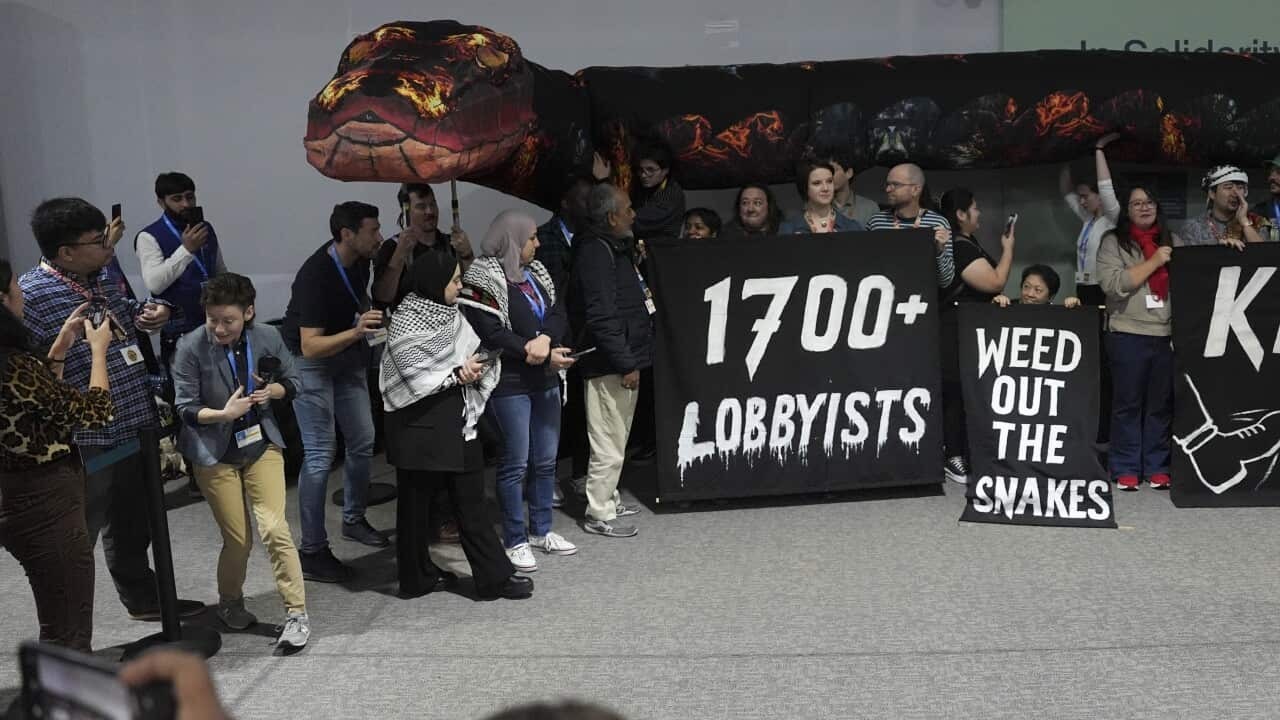 A letter signed by a series of former diplomats and leading climate experts is calling for urgent reforms to the annual summit as progress towards emission targets slows down.