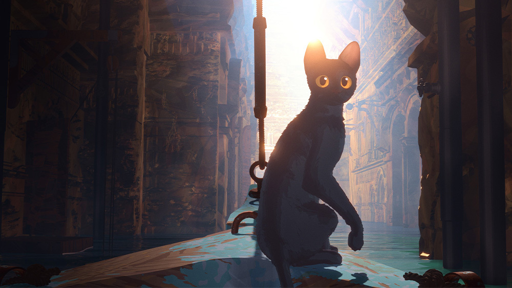 Flow animated movie