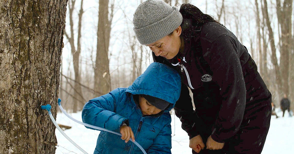 Amplifying Indigenous voices