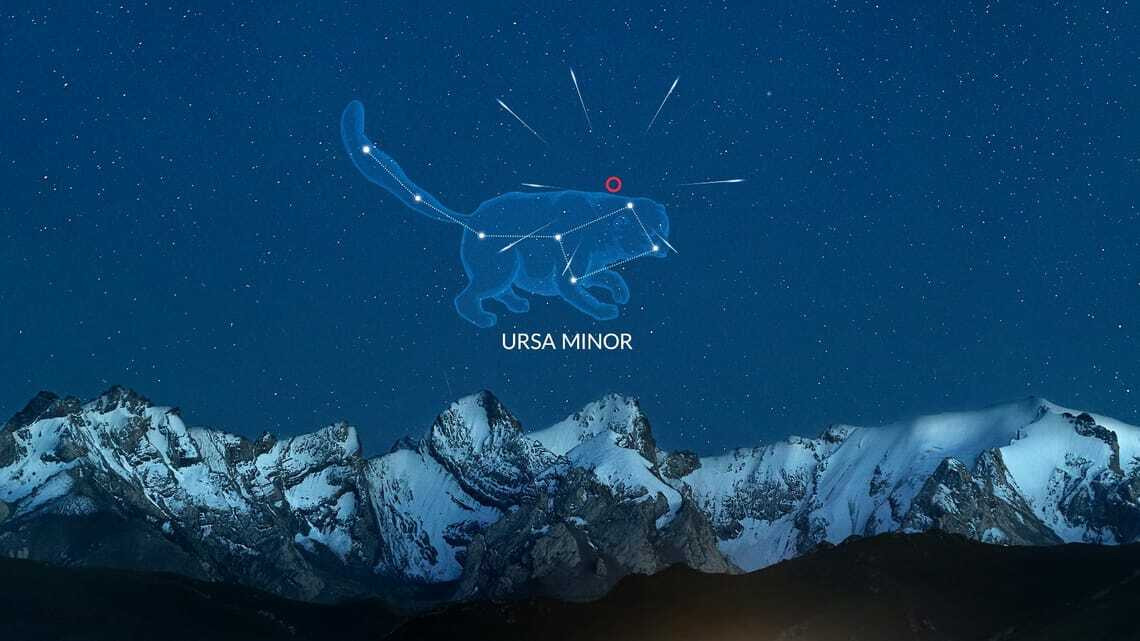 The Ursids reach their peak at the end of December. Learn when and where you can see them and what the observation conditions are in 2024.