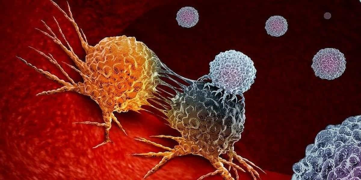cáncer