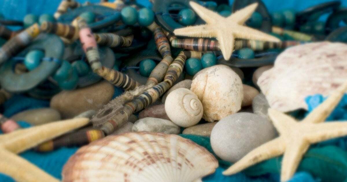 Muscheln und Seesterne am Strand sind Geschenke des Meers