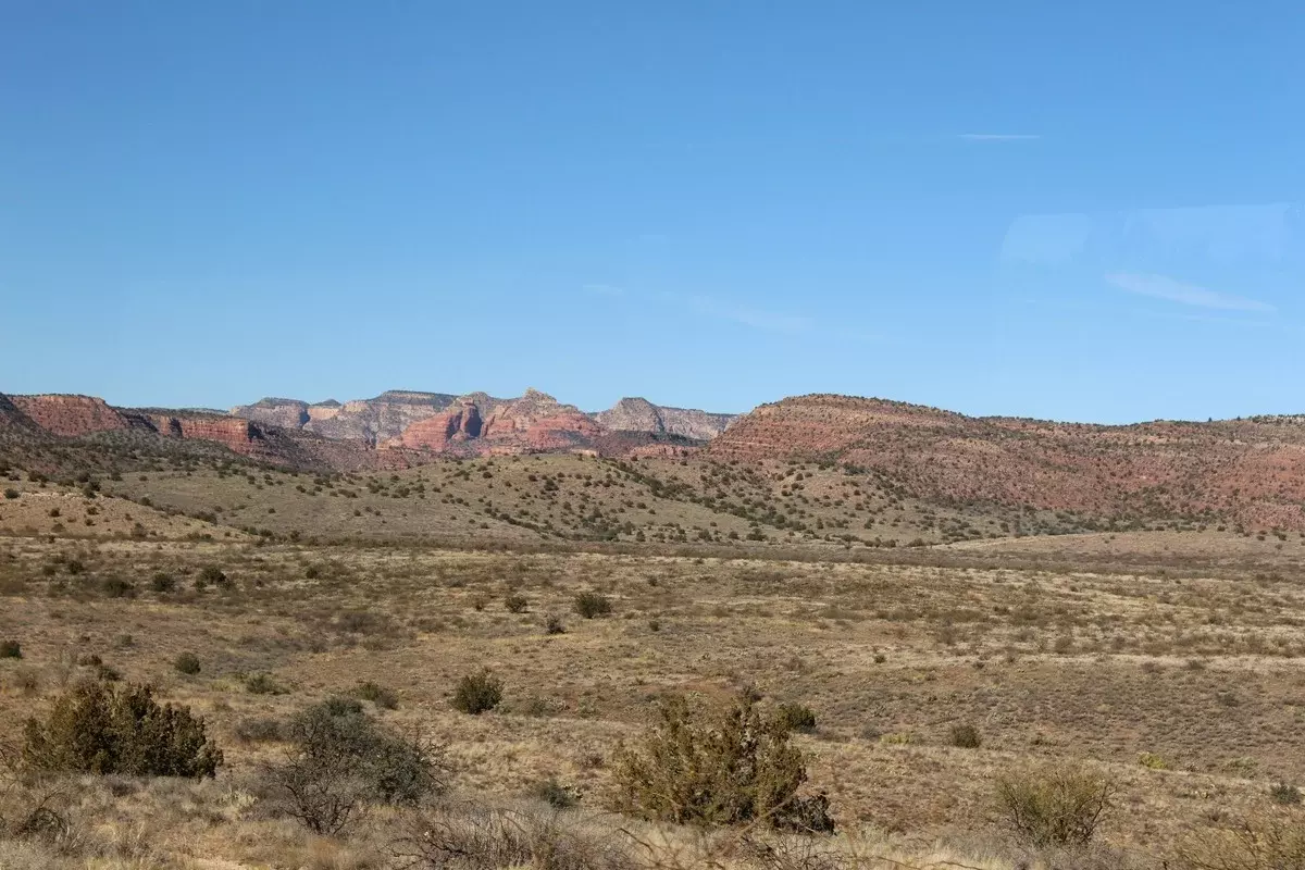 Growing corn in the desert, sponge combatting microplastics, AI camera against drink-driving