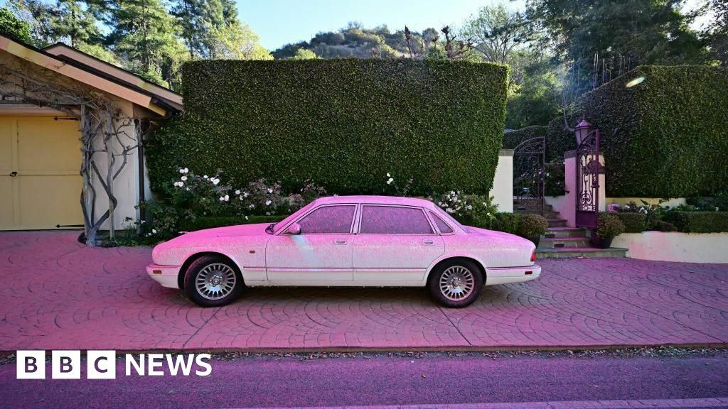 A white car in Los Angeles County covered in pink powder. It is fire retardant - a mixture of chemicals used to suppress wildfire growth.