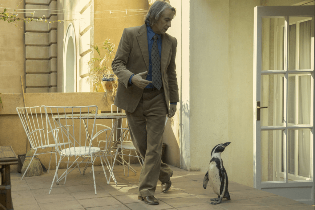 Steve Coogan in 'The Penguin Lessons'