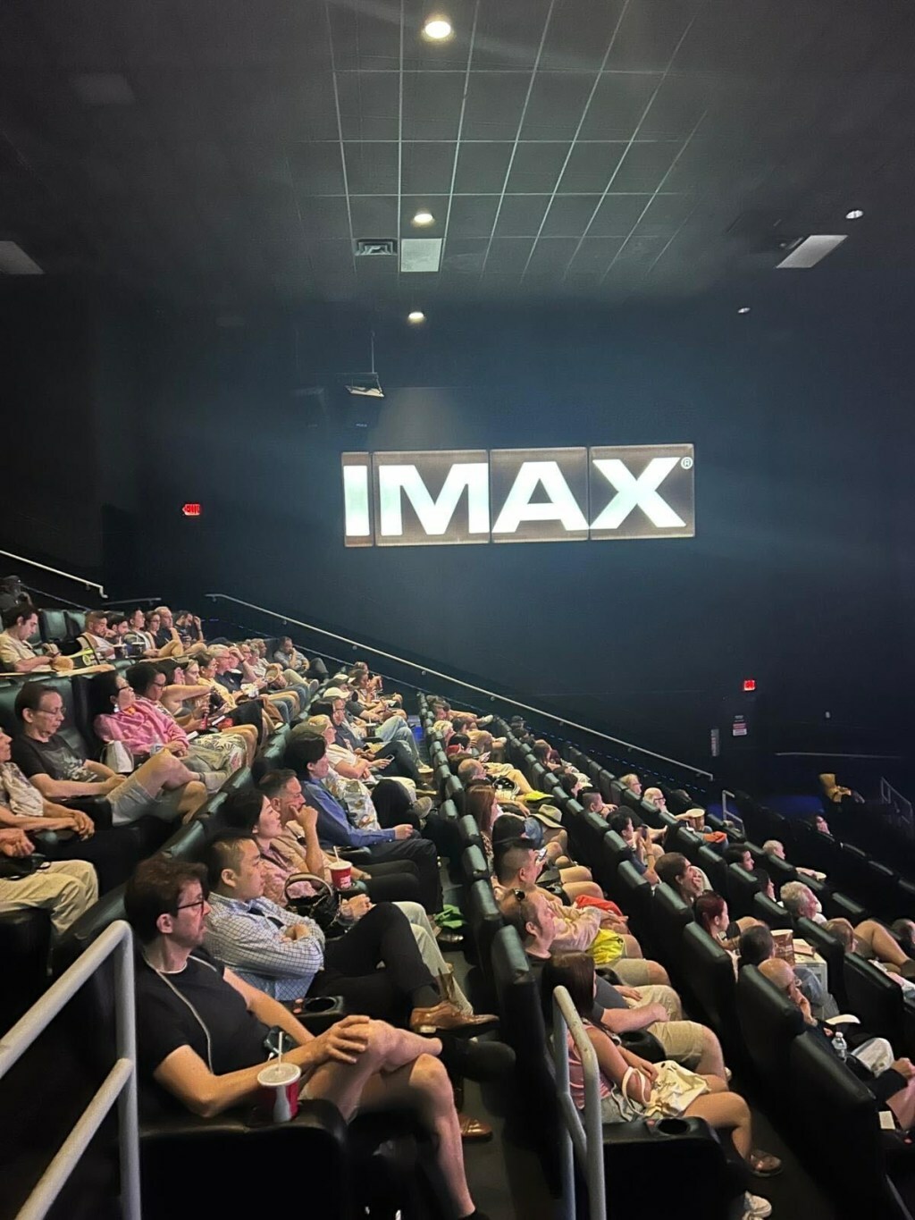 Imax CEO Calls Netflix 'Narnia' Release Deal "Complex," Says No "Rush" To Do Another