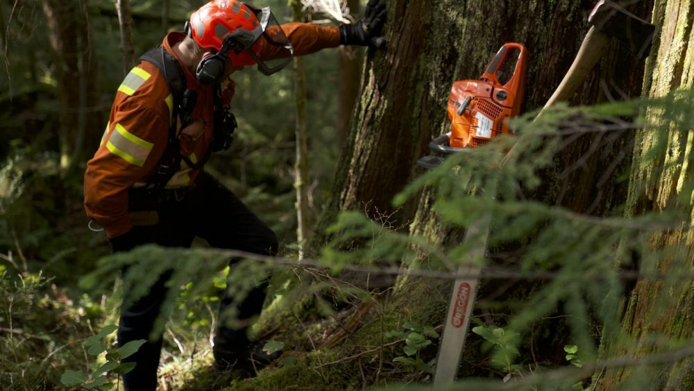 Faller Jim Gardner takes a quick rest while working in the Canadian wilderness.