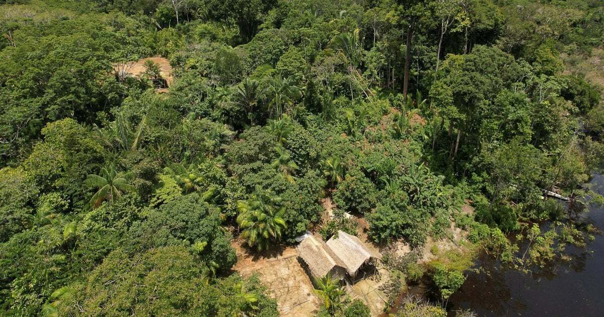Luftaufnahme einer indigenen Siedlung, eingerahmt von verschiedenen Baumarten