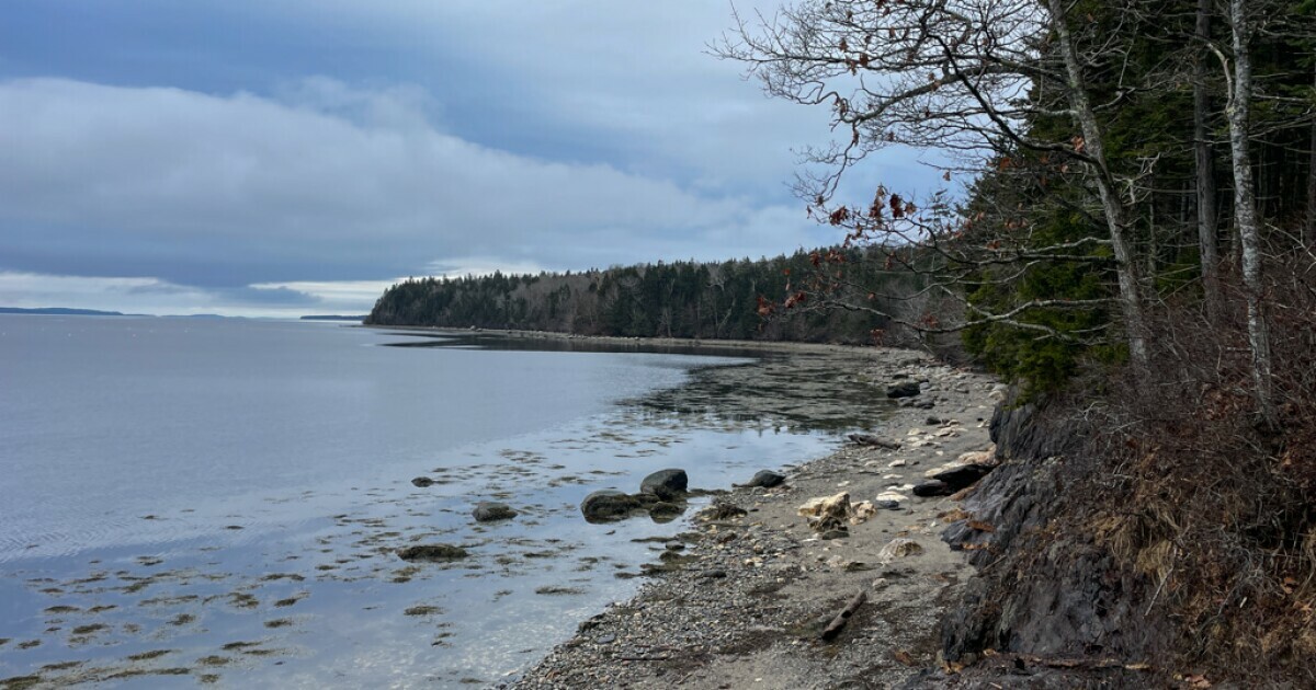 The quiet east side of Sears Island.