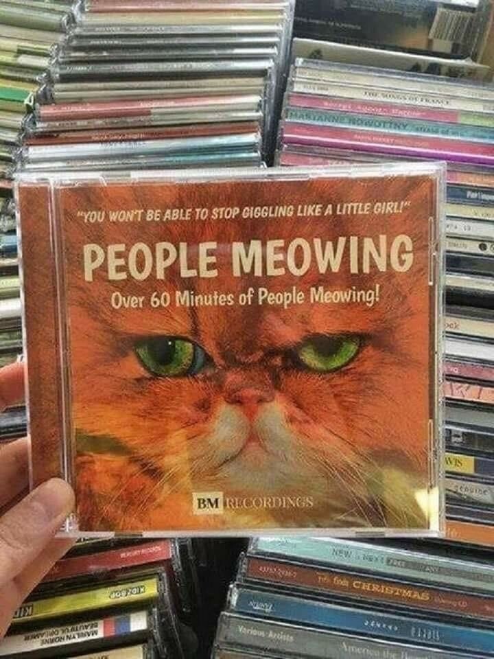Photo of someone holding a CD in a store with a picture of a cat on it.
"You won't be able to stop giggling like a little girl!"
PEOPLE MEOWING
Over 60 Minutes Of People Meowing!
BM Recordings