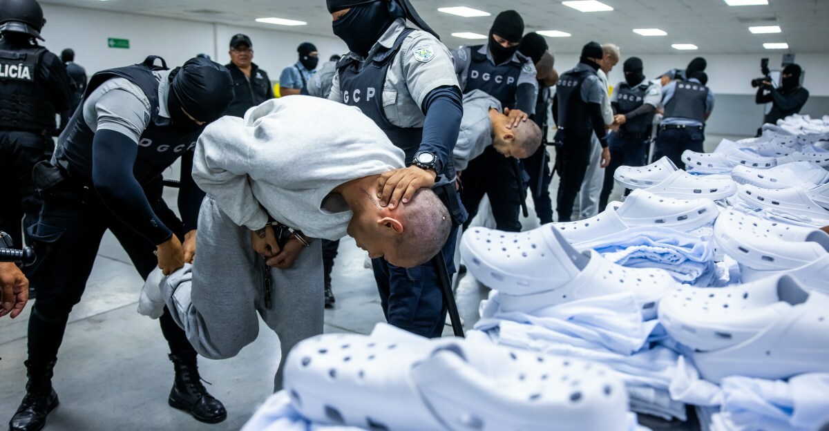 US deports 17 gang-linked criminals in joint operation with El Salvador