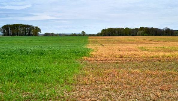 Selon une étude, la moitié des sols français sont en mauvaise santé