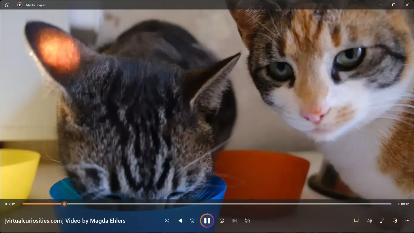 A window titled "Media Player" display a video of two cats, a semi-transparent interface overlaiding it. On the top-left corner, there is a home button. At the bottom, a progress bar, on its left the timestamp 0:00:01, on its right 0:00:12. Below, a text reads "[virtualcuriosities.com] Video by Magda Ehlers." Seven clickable icons appear on the middle below the progress bar: crossed arrows (shuffle), a left arrow with a vertical line (go to start), a curved left arrow with a 10 underneath, a pause icon, a curved forward arrow with a 30 underneath, a right arrow with a vertical line, and two looping arrows with crossed diagonally. On the right side, another 5 icons can be seen, including a volume icon and a three dots button.
