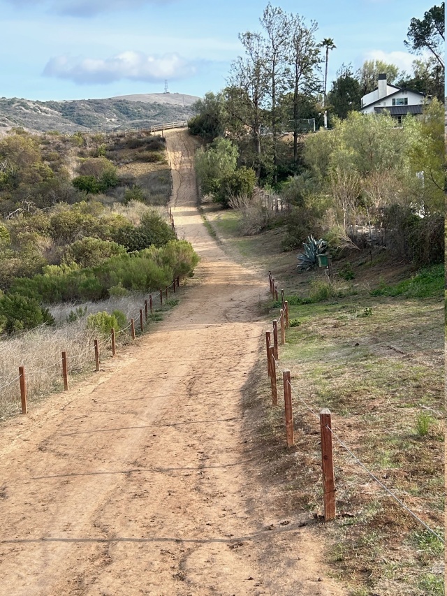 A dirt road climbing a hill with a low fence on either side.