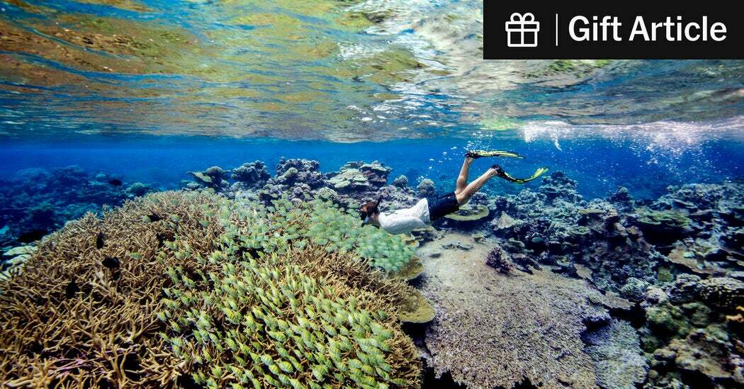 Palmyra Atoll National Wildlife Refuge, about halfway between Hawaii and American Samoa, part of a national monument. 