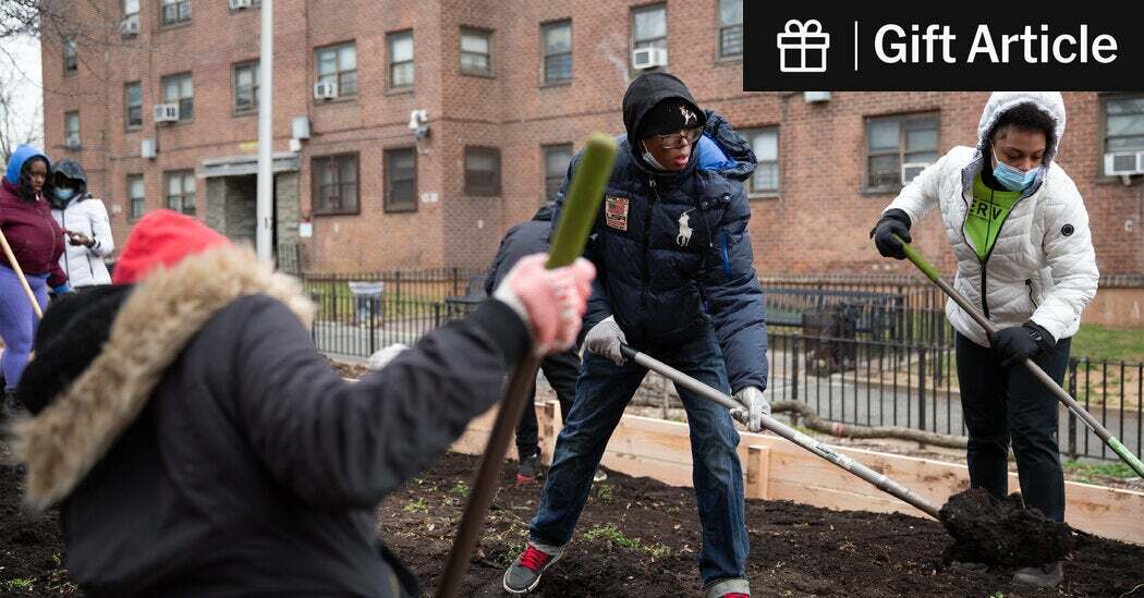 Members of Green City Force, an AmeriCorps service and training program, in Staten Island in 2022.
