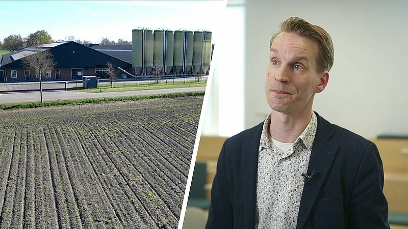 Regels rond stankoverlast door veehouderijen zijn te soepel, vindt GGD: 'Er moet iets veranderen'