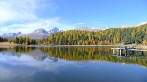 Zu sehen ist der ruhige Stazersee bei St. Moritz, umgeben von herbstlich gefärbten Bäumen und majestätischen Bergen im Hintergrund, mit einem kleinen Steg, der ins Wasser ragt.