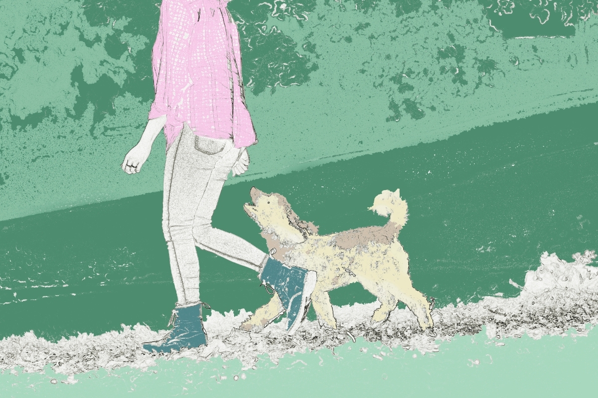 Why You Should Go for a Walk Right Now