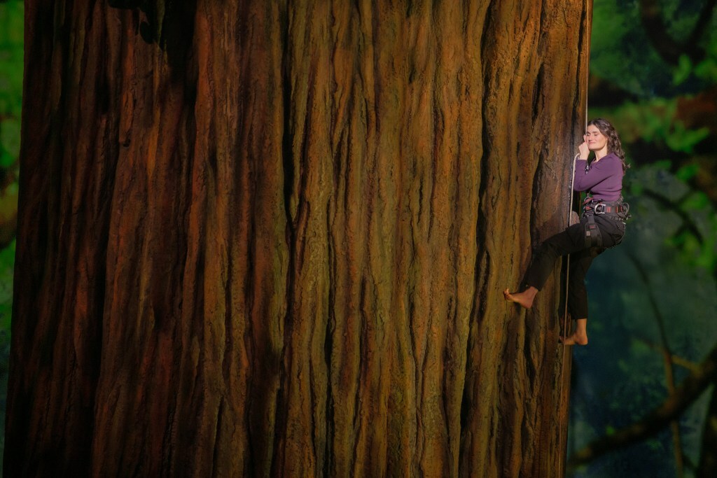 Idina Menzel climbing tree in 'Redwood' on Broadway