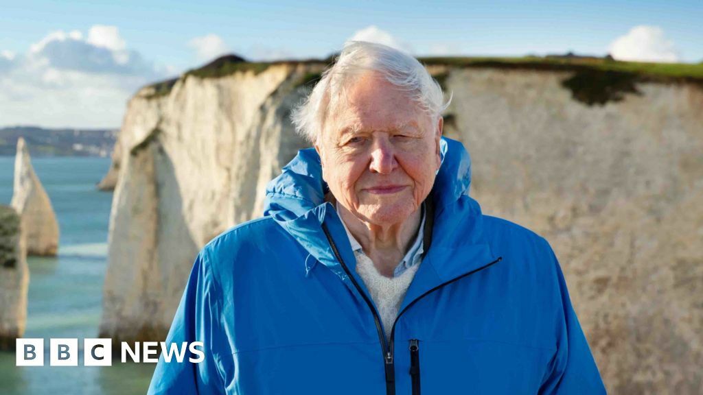 Sir David Attenborough wearing a blue zip jacket looks at the camera with a blue sea and a white cliff behind him. Sun shines on his face making him squint his eyes slightly.