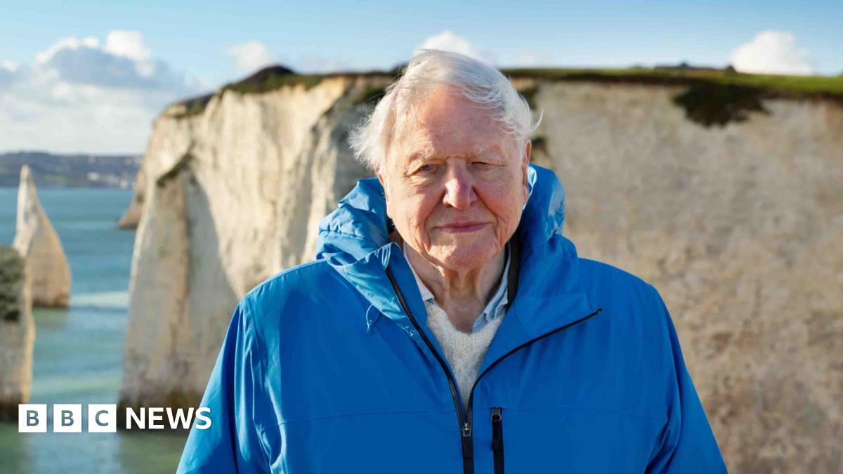 Sir David Attenborough wearing a blue zip jacket looks at the camera with a blue sea and a white cliff behind him. Sun shines on his face making him squint his eyes slightly.