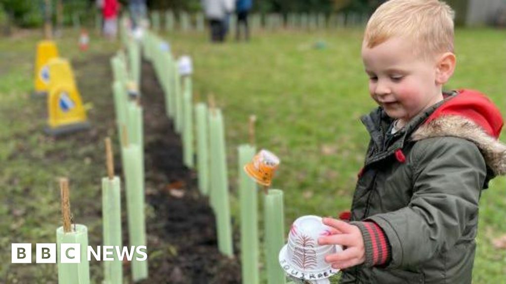 A young boy helping to plant a line of trees, marked with two lines of green sticks and a path of soil through the centre.