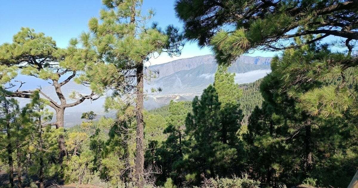 Die Blick von Süden auf den neuen Vulkan.
