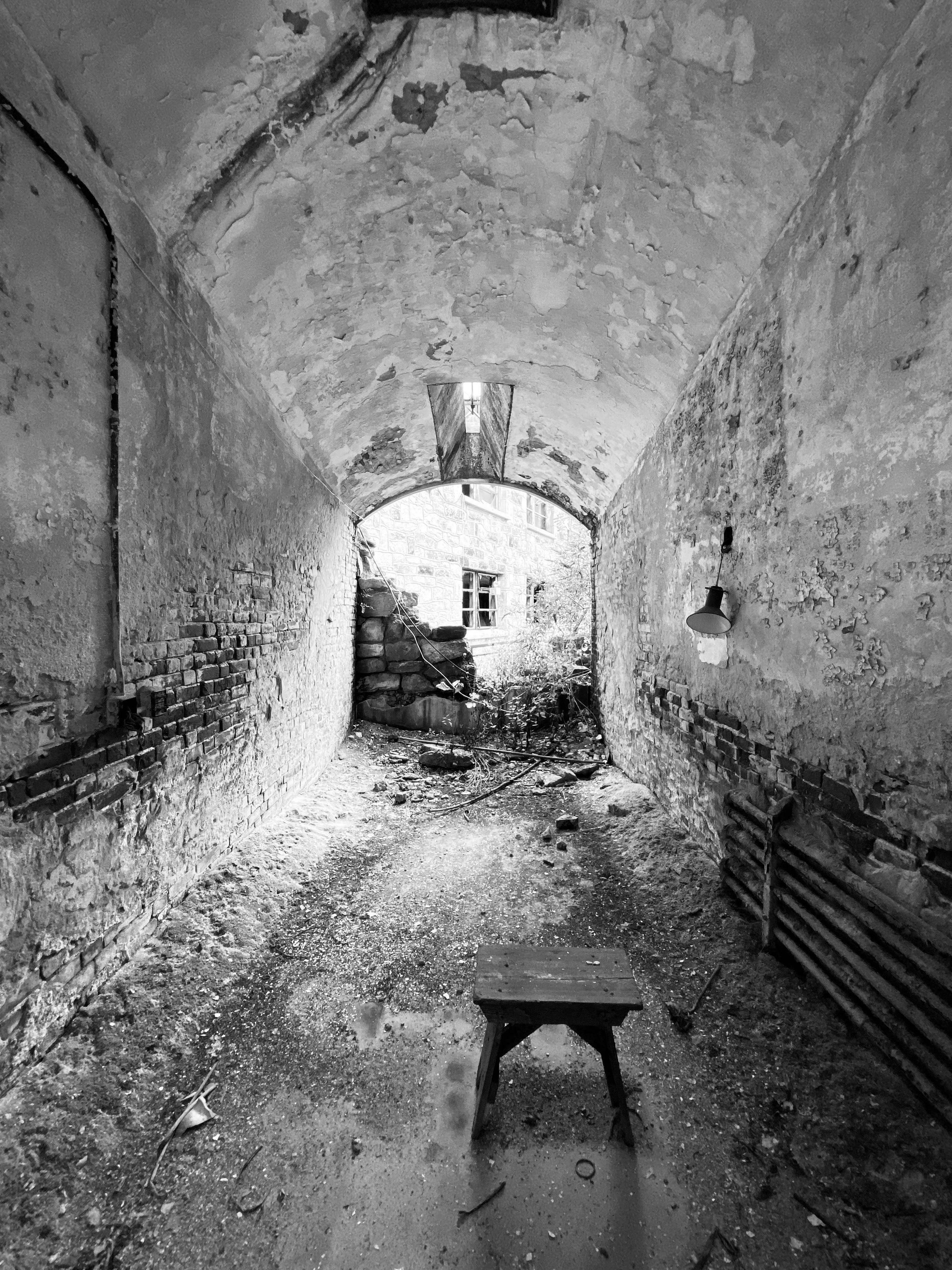 Black and white photo of an old, dilapidated cell at Eastern State Penitentiary, with a plastered barrel ceiling that has a small skylight, and crumbling plastered side walls that reveal brick beneath. There is a small wooden stool in the foreground. The back wall is almost completely gone, with just a few large stones remaining on the bottom left, revealing a stone wall with broken windows outside it. There is some vegetation growing outside the cell, with some vines making their way inside along the moss-covered floor.
