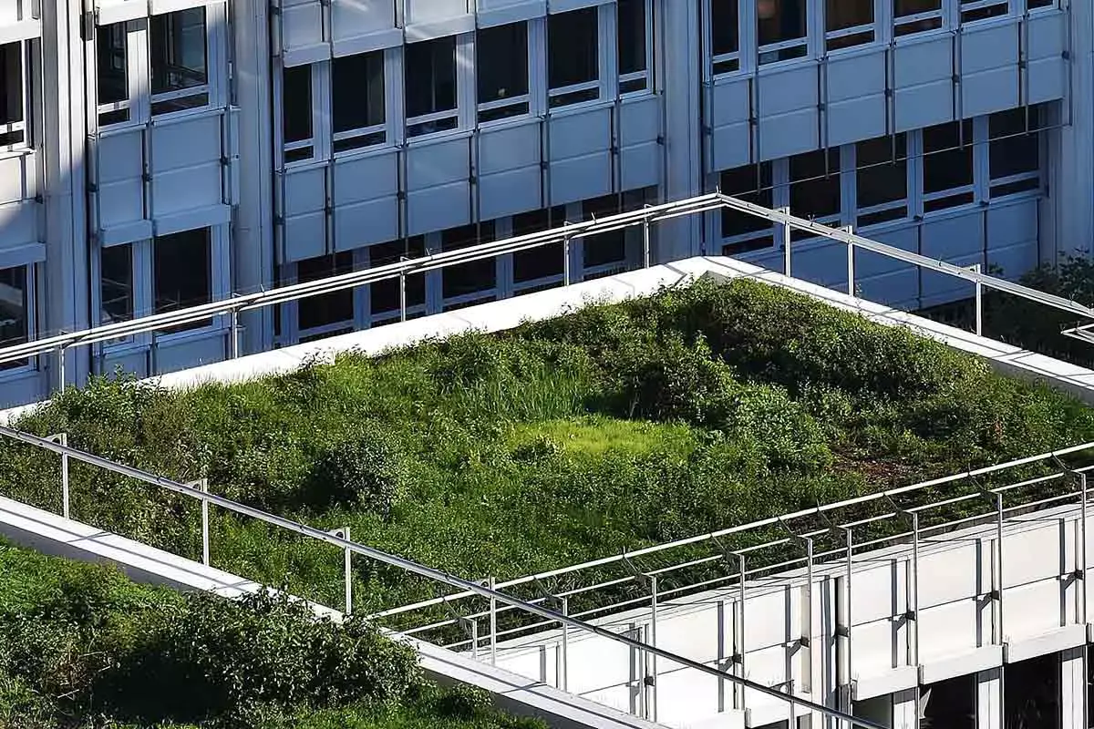 Dachbegrünung