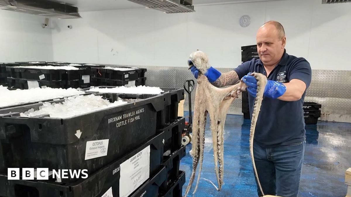 Barry Young from Brixham Trawler Agents holds up a Mediterranean octopus.  