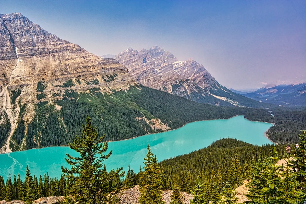 Glacial green Peyto Lake, Banff NP, AB