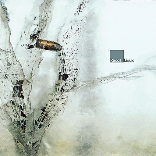Image for Liquid (Bonus Tracks) by Recoil