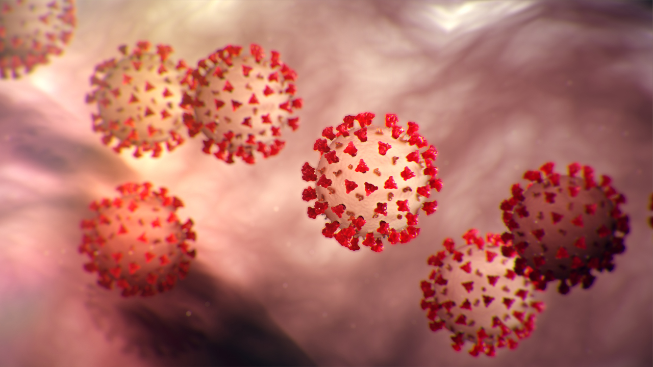 An illustration of the virus that causes the COVID-19 disease. (Centers for Disease Control and Prevention)