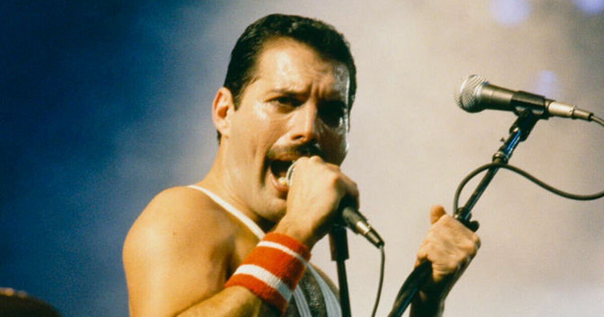 Freddie Mercury's secret daughter in new bombshell DNA update | Celebrity News | Showbiz & TV Freddie Mercury's secret daughter in new bombshell DNA update | Celebrity News | Showbiz & TV