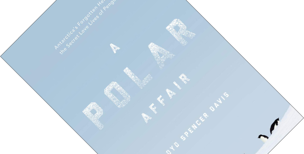 A Polar Affair.png