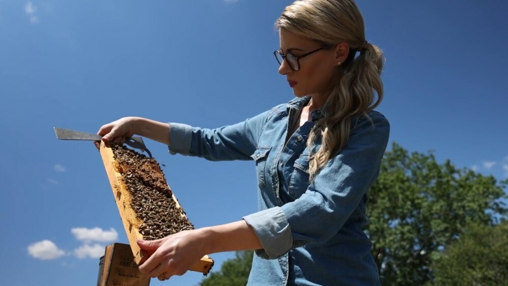 Bee Wild