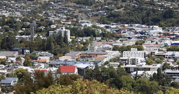 'Intensification on steroids': Nelson housing plan rejected