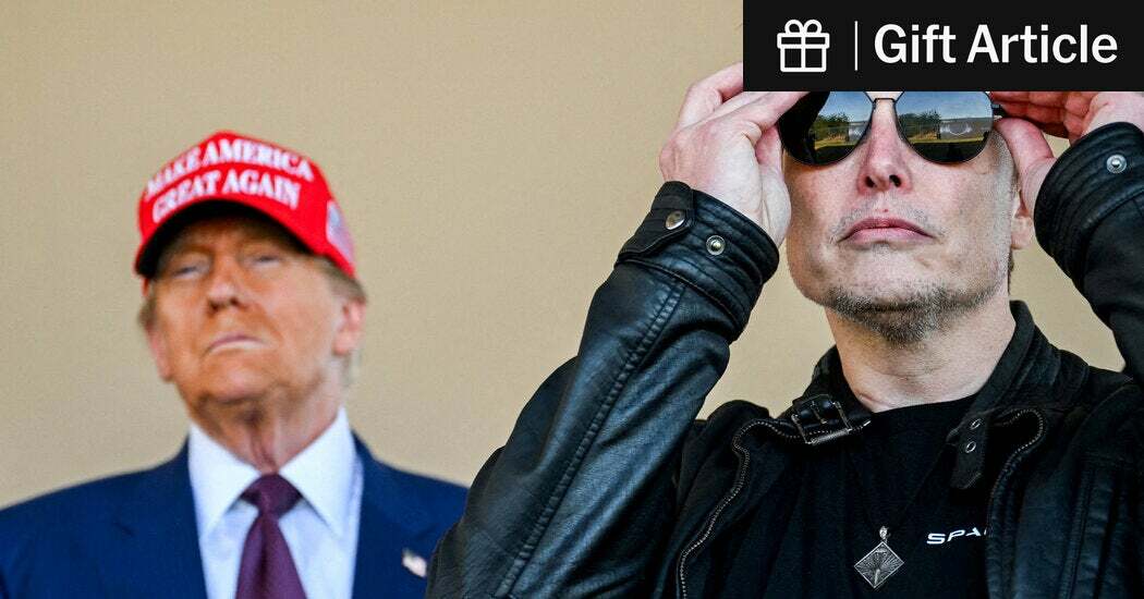 For a few hours on Thursday, everyone was diverted from other news by the spectacle of a brawl between President Trump and the billionaire Elon Musk.