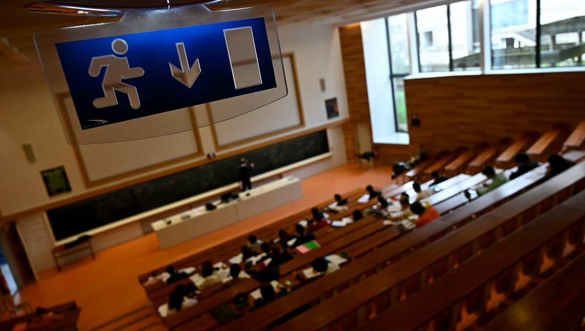 L'université doit-elle former des citoyens ou former des travailleurs ?