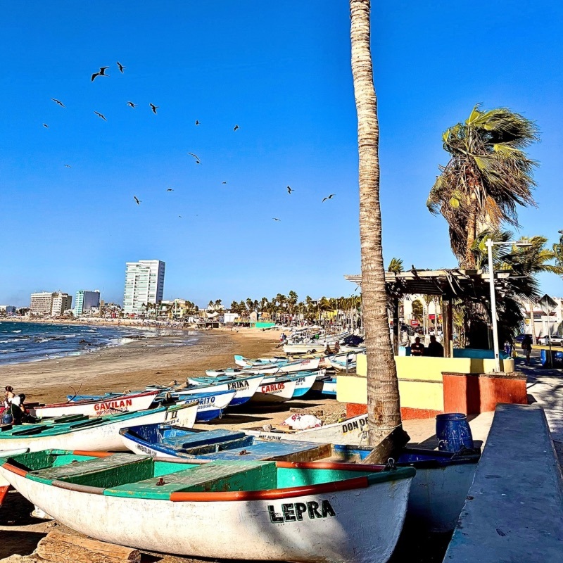 A golden beach in Mazatlán with colorful fishing boats resting on the sand. Their names, painted on the hulls, tell silent stories of the sea. A tall palm tree sways under a clear blue sky, while the Mazatlán boardwalk and city skyline shimmer in the distance.