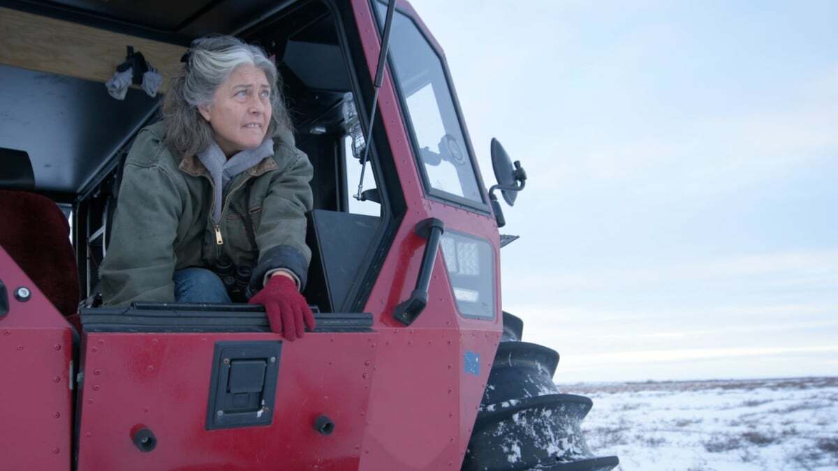 A person leans out the window of a tractor in a snowy landscape