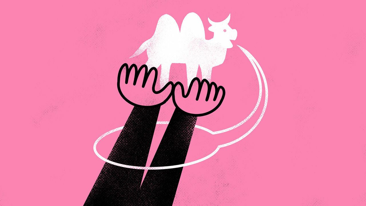 Two hands raise a small camel in their palms. A speech bubble appears to come from the camel's mouth and wraps around the wrists