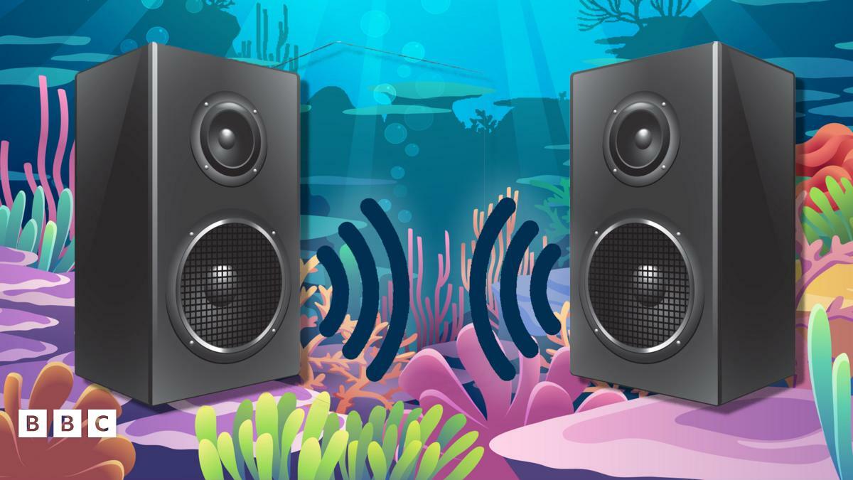 Cartoon of speakers under the water on a coral reef
