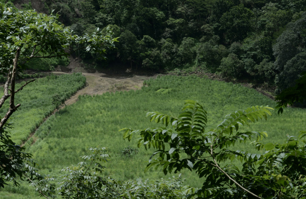 EBI inicia arbitraje contra Costa Rica ante el Ciadi por no poder construir rellenos sanitarios en Turrúcares y Montes de Oro EBI inicia arbitraje contra Costa Rica ante el Ciadi por no poder construir rellenos sanitarios en Turrúcares y Montes de Oro